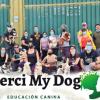 Merci My Dog  Educación Canina