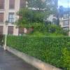 Jardineria  Y Limpiezas
