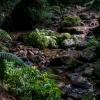 naturaleza