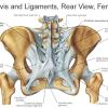 Naylah Reflexología Podal Y Neuromuscular