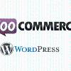 E-Commerce Web Development