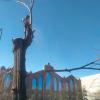 Agrojardin Y Excavaciones Carlos