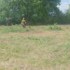 Agrojardin Y Excavaciones Carlos