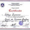 Certificado de primeros auxilios