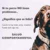 Salud comportamental