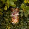 Little Hazy para Tibidabo Brewing