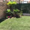 finalizacion de jardin