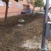 preparacion de terreno para plantacion