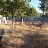 Desbroce Limpieza Y Jardinería