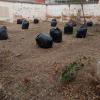 Jardinería Y Deforestaciones Ruiz