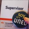 Carnet de supervisora de exámenes para la VIU y el pin que conservo de la UNED cuando me licencié.