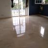 Efacta  Floor Polishing