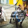 Oracan  Adiestramiento Canino