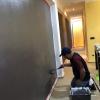 Servicio de pintura