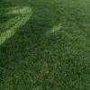 mantenimiento zonas verdes