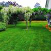 Jardinería Rubely