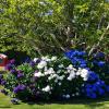 Jardinería Rubely