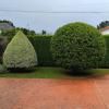 Jardinería Rubely