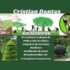 C Dantas Jardines