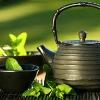 Té e infusiones de plantas para ayudar en las dietas 