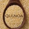 La quinoa junto con otros pseudocereales son la mejor opción dentro de las semillas ricas en hidratos