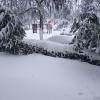 jardines del centro nevados 