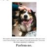 Terapia Canina en Residencia abuelos - La Garriga
