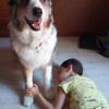 Terapia Canina a domicilio con niño. La Garriga autista