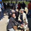 Terapia Canina con abuelos en Badalona.