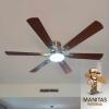 Manitas Paterna