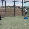 Bola Viva Padel