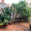 poda y limpieza en terraza
