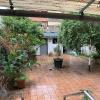 poda y limpieza en terraza