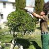 Jardineria Salvatierra