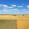 Drones Valladolid
