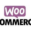 Diseño Web con WOOCOMMERCE   WORDPRESS