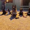 Asociación Canina Club Rytualkan