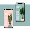 Diseño app PLANTIFY