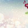 Banner web Navidad Emmes Moda