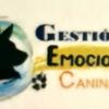 Neuroeducador Emocional Canino Iñaki Bz