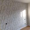 Pintura  Decoración  Zoé