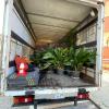 Transporte de plantas y animales