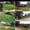 Ksb Garden