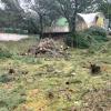 Jardinería Edén Amaya