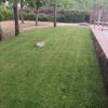 Jardinería Edén Amaya