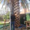 Jardinería Edén Amaya