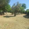 Jardinería Edén Amaya