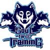 Soul Force Training