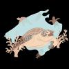 Nieves Martinez Ilustraciones