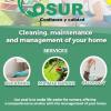 Servicios Cosur